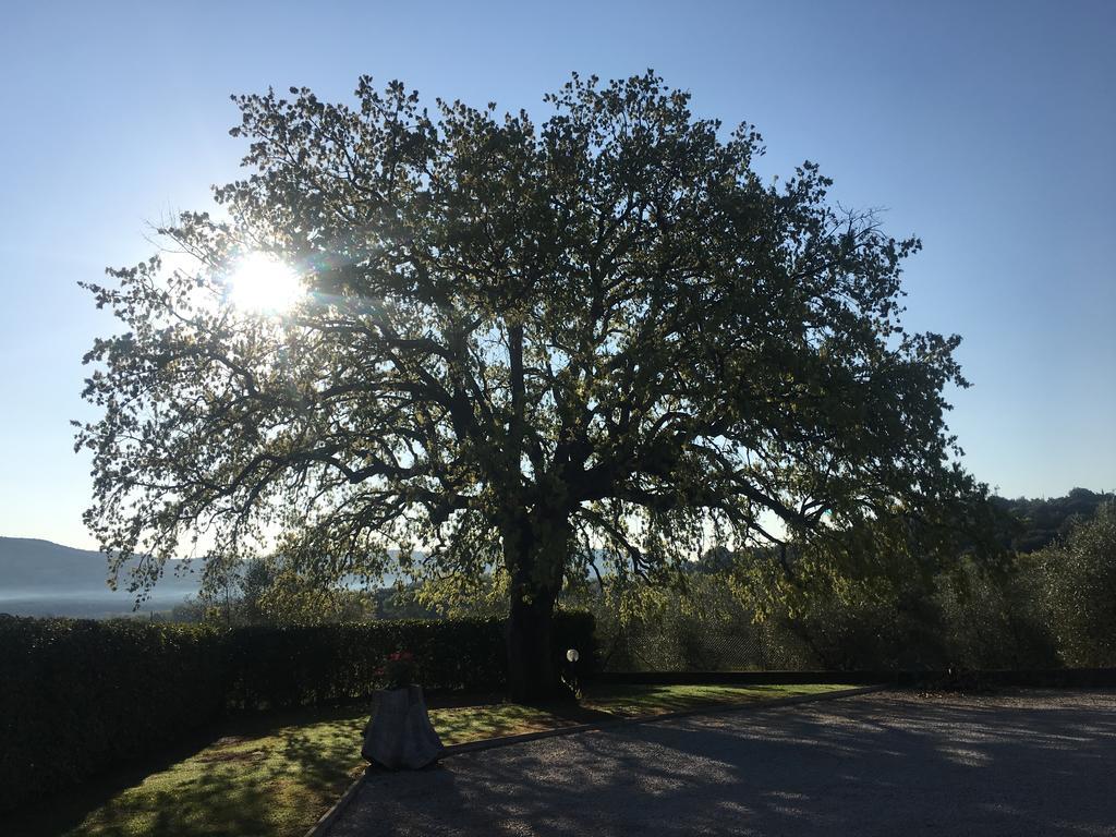 Agriturismo Pian Del Vescovo ماسا ماريتيما المظهر الخارجي الصورة